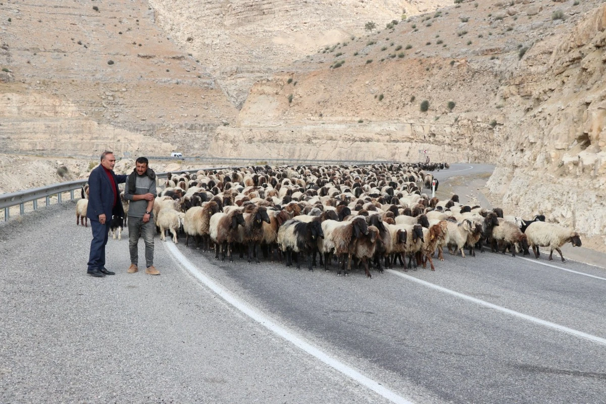 Yayladaki göçerler kışlaklara dönüyor