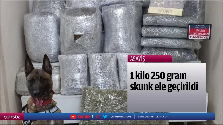 1 kilo 250 gram skunk ele geçirildi