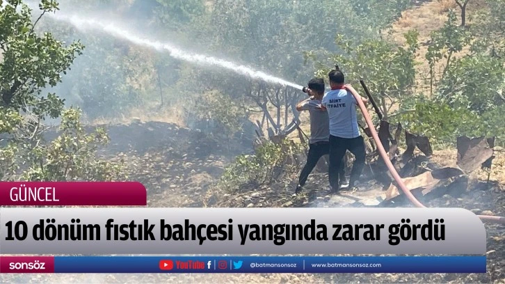 10 dönüm fıstık bahçesi yangında zarar gördü