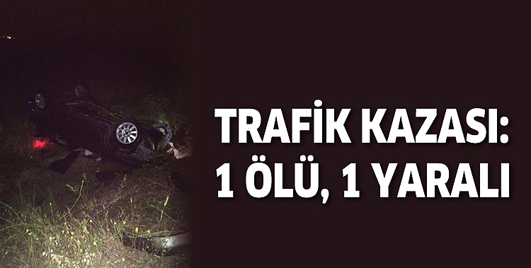 TRAFİK KAZASI: 1 ÖLÜ, 1 YARALI