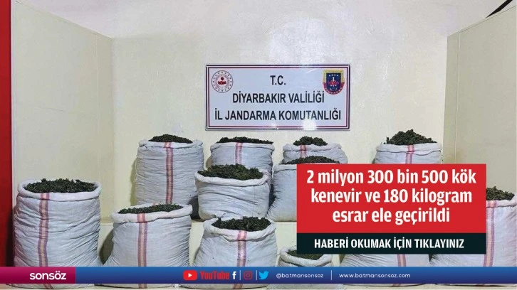 2 milyon 300 bin 500 kök kenevir ve 180 kilogram esrar ele geçirildi