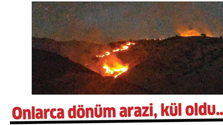 ONLARCA DÖNÜM ARAZİ, KÜL OLDU…