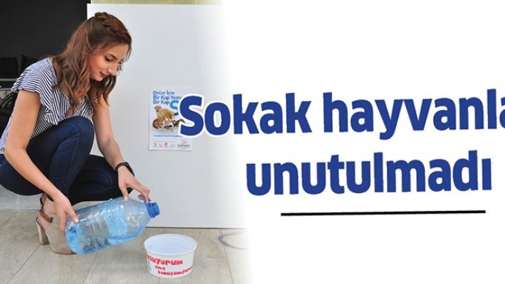 SOKAK HAYVANLARI UNUTULMADI