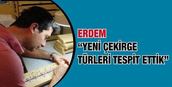 ERDEM “YENİ ÇEKİRGE TÜRLERİ TESPİT ETTİK”