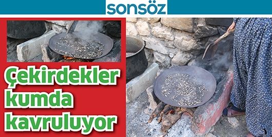 BU ÇEKİRDEKLER, KUMDA KAVRULUYOR