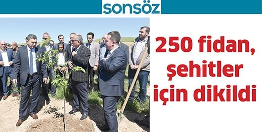 250 FİDAN, ŞEHİTLER İÇİN DİKİLDİ