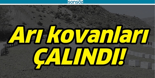 ARI KOVANLARI ÇALINDI!