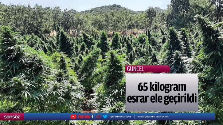 65 kilogram esrar ele geçirildi