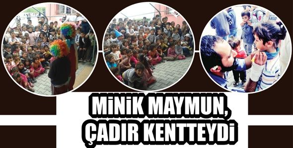 MİNİK MAYMUN, ÇADIR KENTTEYDİ