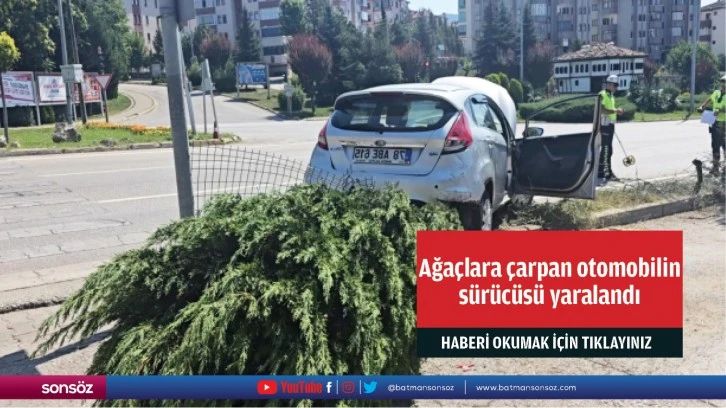 Ağaçlara çarpan otomobilin sürücüsü yaralandı