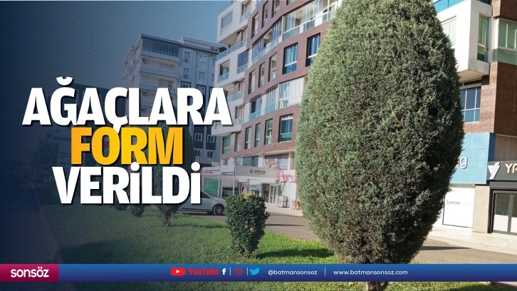 Ağaçlara form verildi