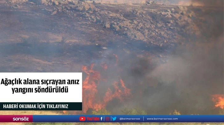 Ağaçlık alana sıçrayan anız yangını söndürüldü