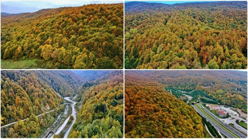 Anadolu Otoyolu'nun Bolu Dağı kesimi sonbahar renkleri arasında yolculuk imkanı sunuyor