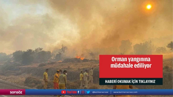 Antalya'da ormanlık alanda yangın çıktı