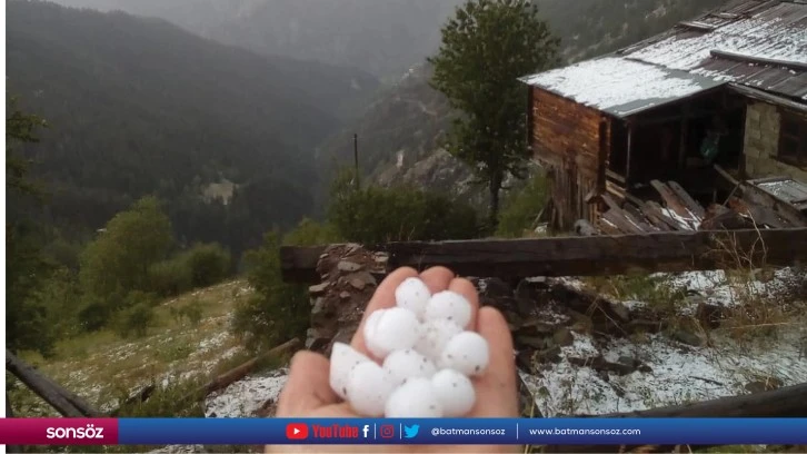 Artvin'de dolu etkili oldu