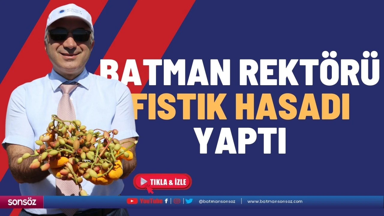 Batman Rektörü fıstık hasadı yaptı