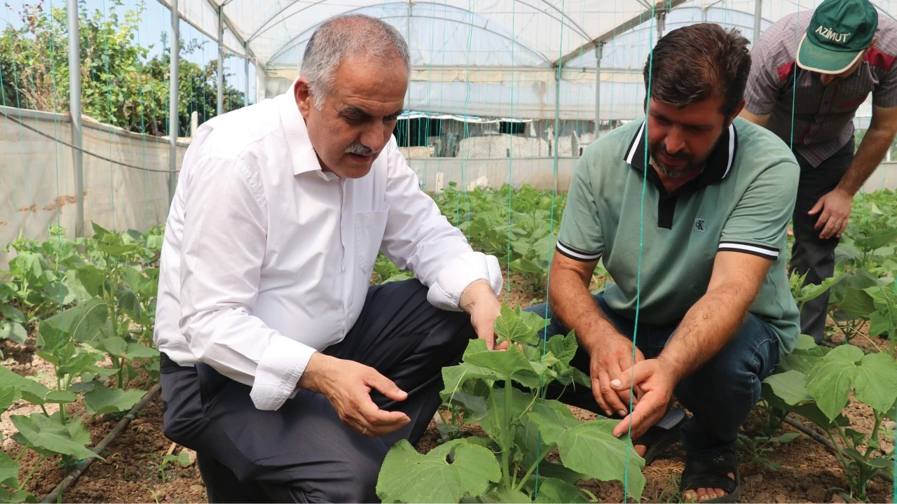 Batman, seracılıkta gelişiyor