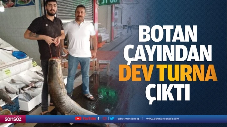 Botan Çayından dev turna çıktı