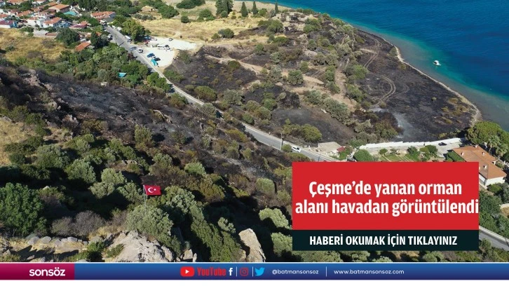 Çeşme'de yanan orman alanı havadan görüntülendi