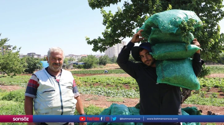 Çiftçiler sıcak havaya rağmen üretime katkı sağlıyor