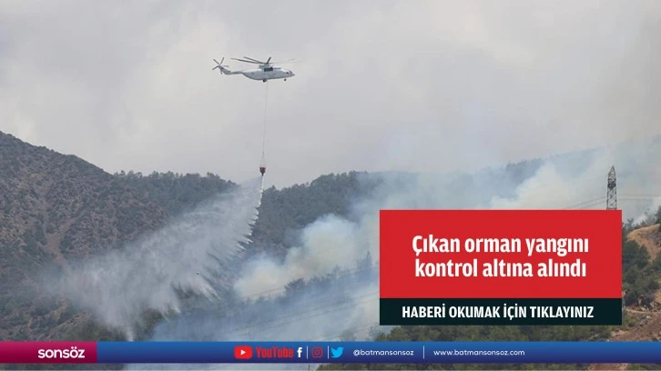 Çıkan orman yangını kontrol altına alındı