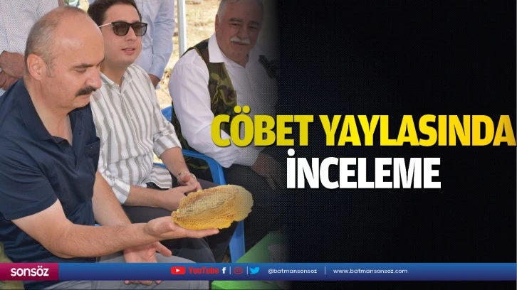 Cöbet Yaylasında inceleme