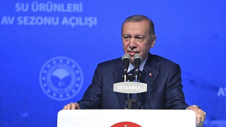 Cumhurbaşkanı Erdoğan, Balıkçılık Sektörüne Destek Açıkladı