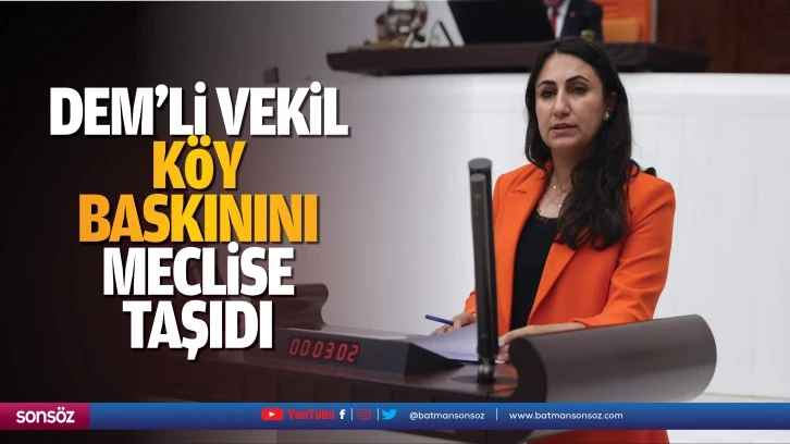 DEM’li vekil, köy baskınını meclise taşıdı