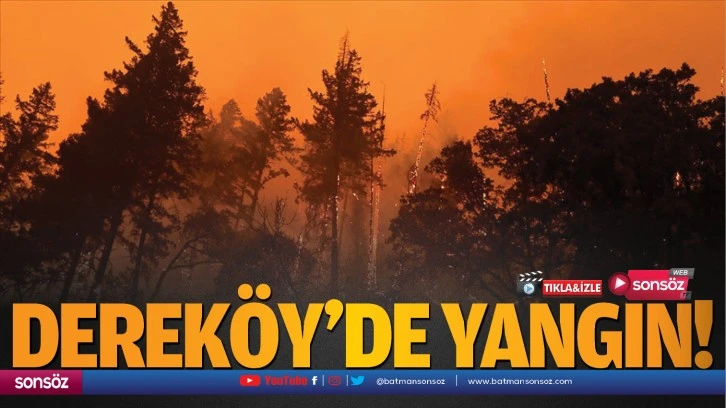 Dereköy’de yangın!