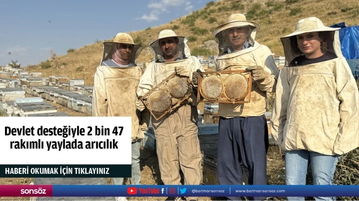 Devlet desteğiyle 2 bin 47 rakımlı yaylada arıcılık