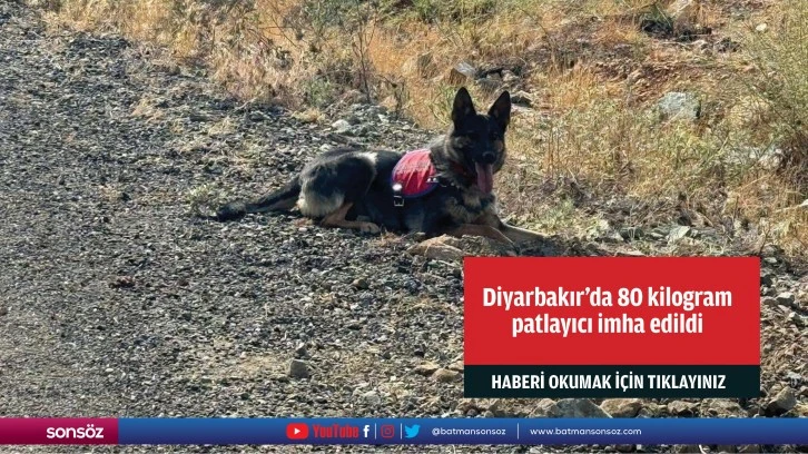 Diyarbakır'da 80 kilogram patlayıcı imha edildi