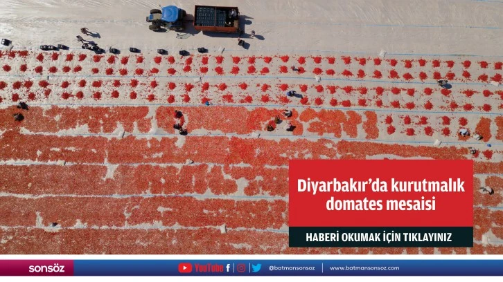 Diyarbakır'da kurutmalık domates mesaisi