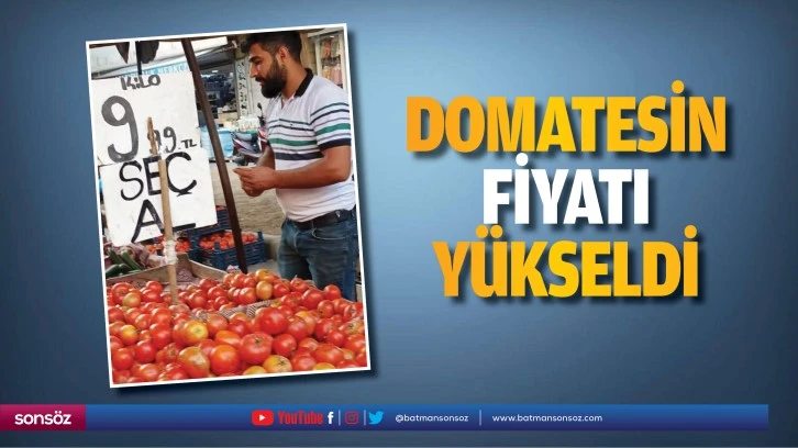 Domatesin fiyatı yükseldi