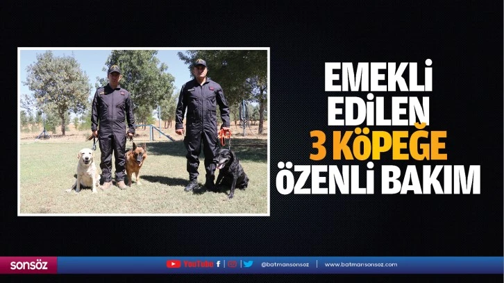 Emekli edilen 3 köpeğe özenli bakım…