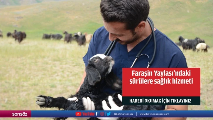 Faraşin Yaylası'ndaki sürülere sağlık hizmeti