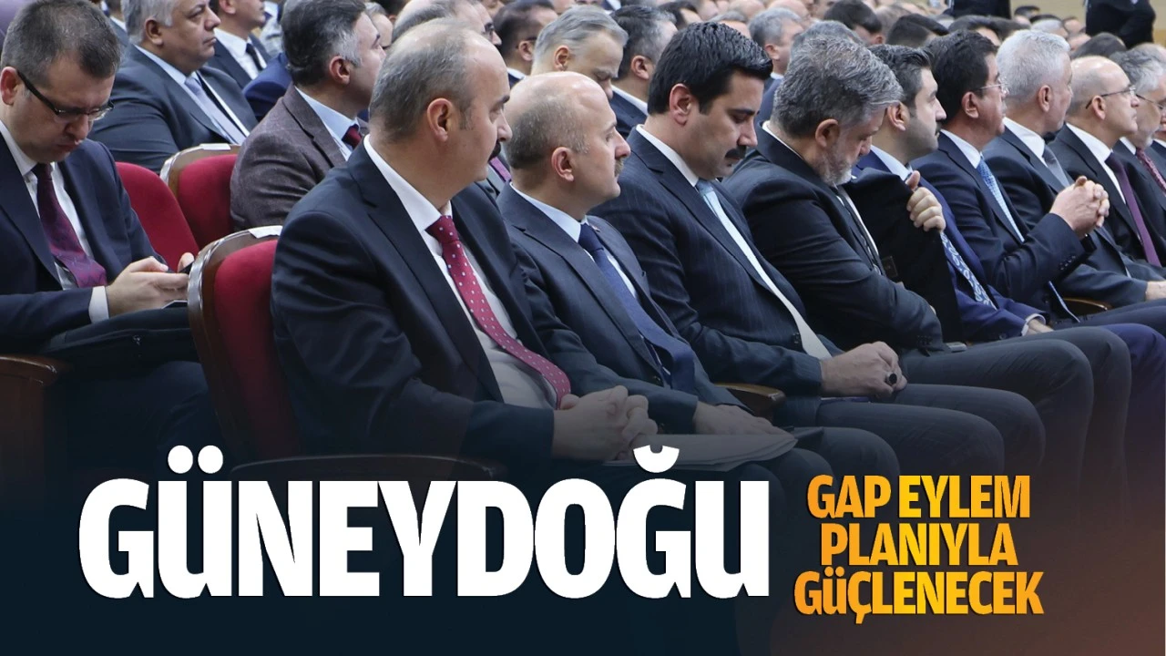 Güneydoğu, GAP eylem planıyla güçlenecek