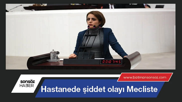 Hastanede şiddet olayı, Mecliste