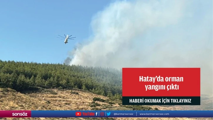 Hatay'da orman yangını çıktı