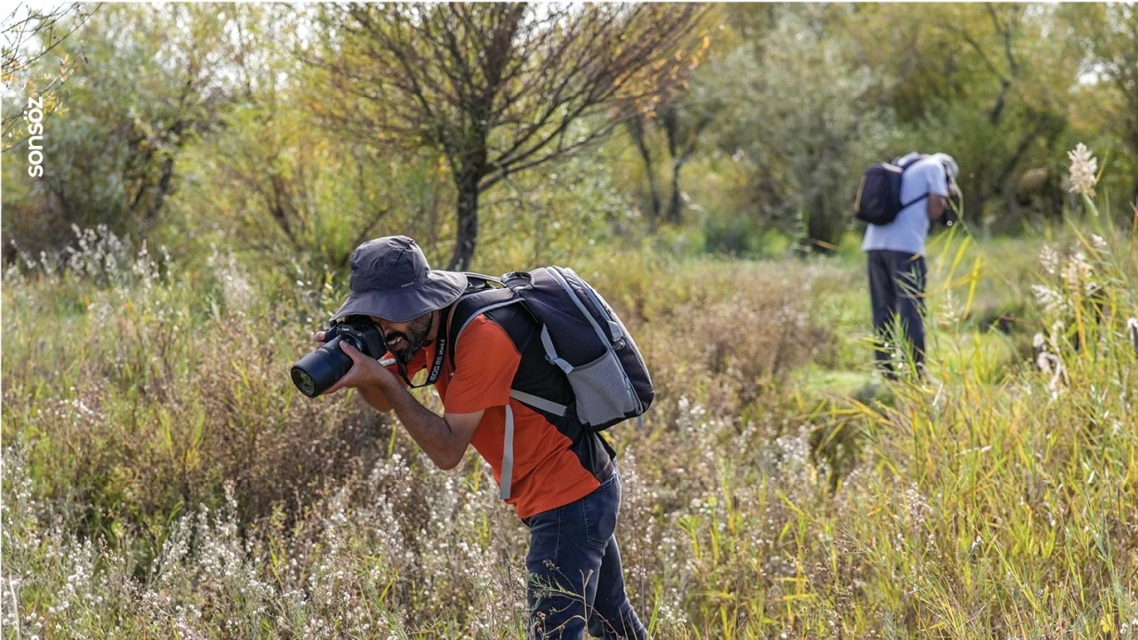 İsmini Dicle Nehri'den alan kelebeği tarihi Hevsel Bahçeleri'nde fotoğraflıyorlar