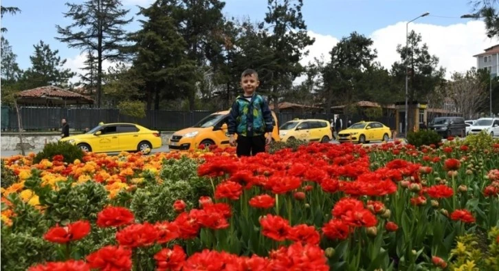 Isparta'da dikilen çiçekler şehri renklendirdi