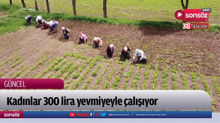  Kadınlar 300 lira yevmiyeyle çalışıyor