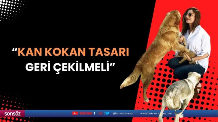 “Kan kokan tasarı geri çekilmeli”