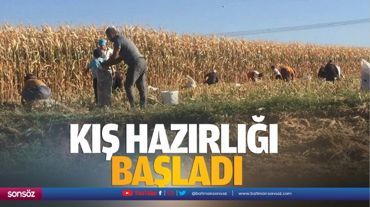 Kış hazırlığı başladı