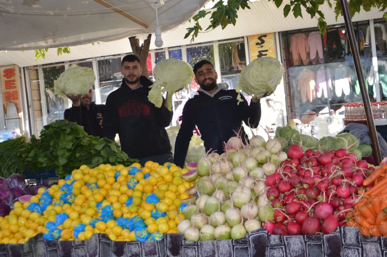 Lahana satışa çıktı