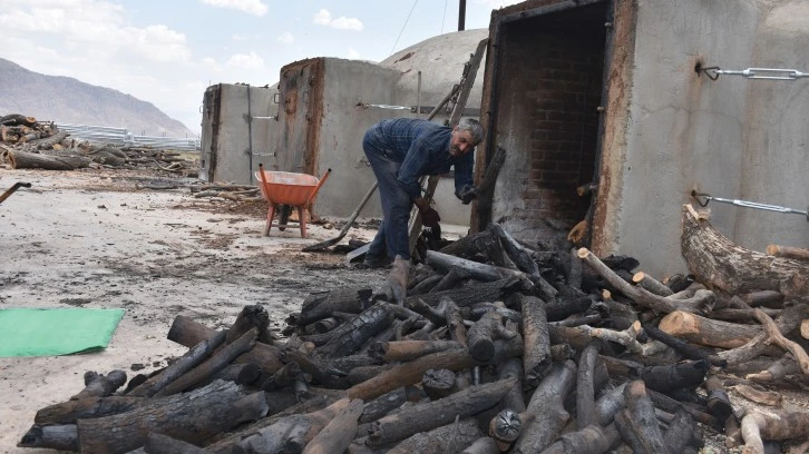 Mangal kömürü Irak'tan da talep görüyor