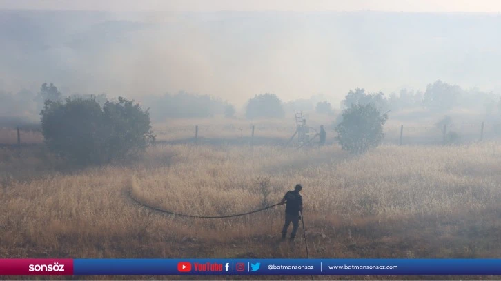 Mardin'de ormanlık alanlarda çıkan yangınlara müdahale ediliyor