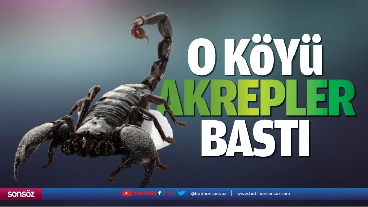 O köyü akrepler bastı