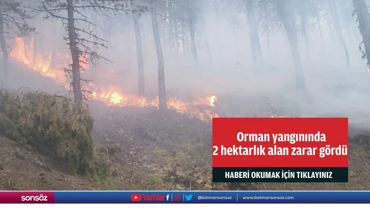  Orman yangınında 2 hektarlık alan zarar gördü