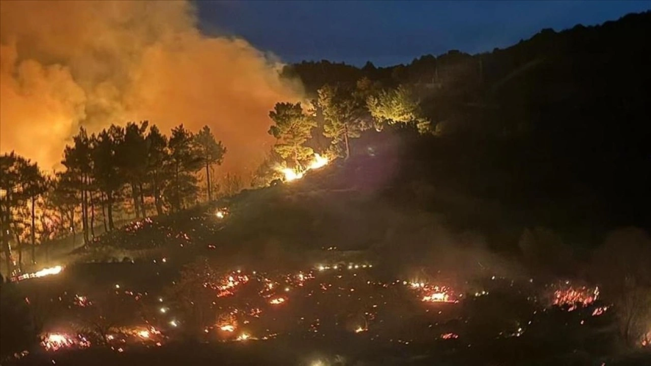 Orman Yangınları Muğla'yı Sardı