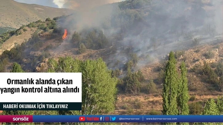 Ormanlık alanda çıkan yangın kontrol altına alındı